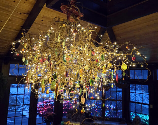 A Christmas tree without needles?